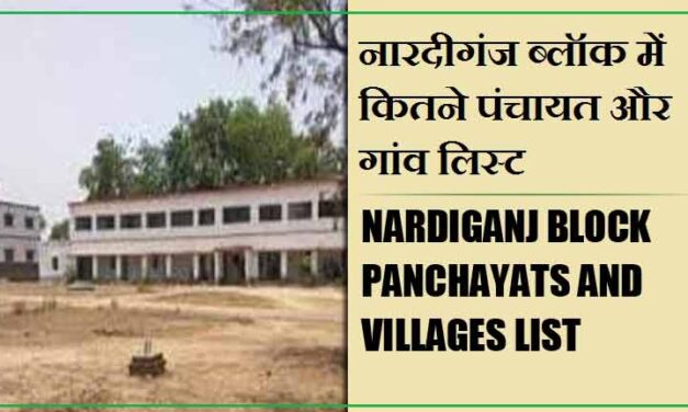 नारदीगंज ब्लॉक में कितने पंचायत और गांव लिस्ट | Nardiganj Block Panchayats and Villages List