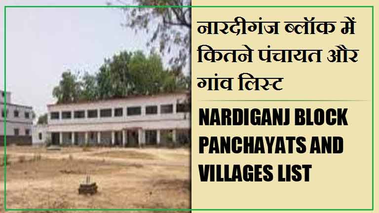नारदीगंज ब्लॉक में कितने पंचायत और गांव लिस्ट | Nardiganj Block Panchayats and Villages List