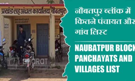 नौबतपुर ब्लॉक में कितने पंचायत और गांव लिस्ट | Naubatpur Block Panchayats and Villages List