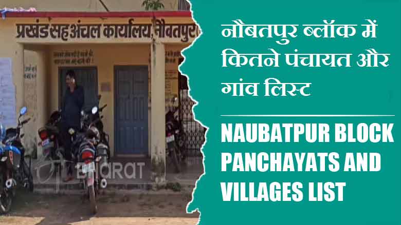 नौबतपुर ब्लॉक में कितने पंचायत और गांव लिस्ट | Naubatpur Block Panchayats and Villages List