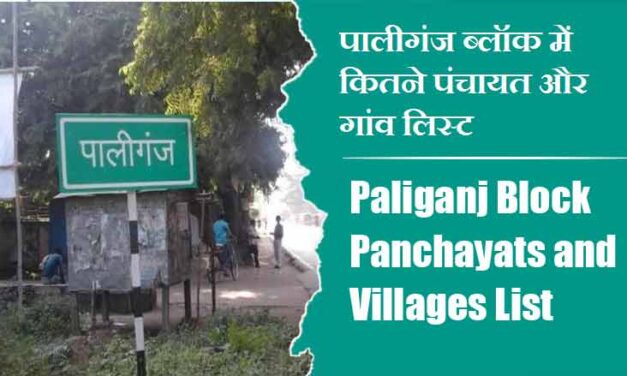 पालीगंज ब्लॉक में कितने पंचायत और गांव लिस्ट | Paliganj Block Panchayats and Villages List