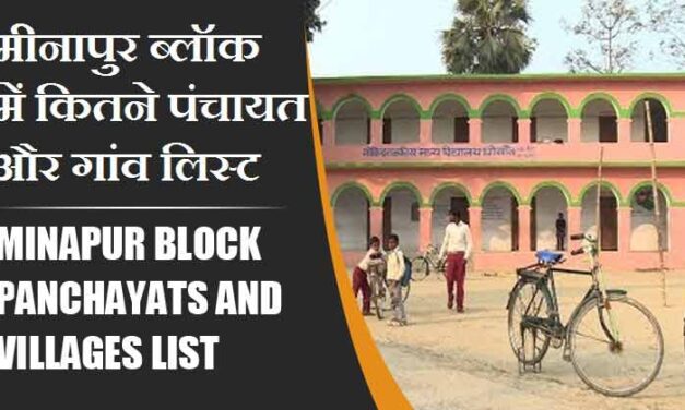 मीनापुर ब्लॉक में कितने पंचायत और गांव लिस्ट | Minapur Block Panchayats and Villages List
