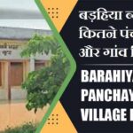 बड़हिया ब्लॉक में कितने पंचायत और गांव लिस्ट | Barahiya Block Panchayat and Village List