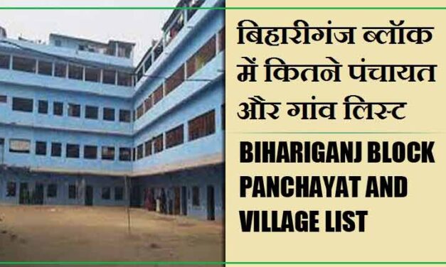 बिहारीगंज ब्लॉक में कितने पंचायत और गांव लिस्ट | Bihariganj Block Panchayat and Village List