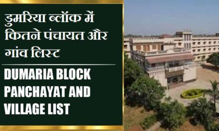 डुमरिया ब्लॉक में कितने पंचायत और गांव लिस्ट | Dumaria Block Panchayat and Village List