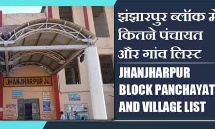 झंझारपुर ब्लॉक में कितने पंचायत और गांव लिस्ट | Jhanjharpur Block Panchayats and Villages List