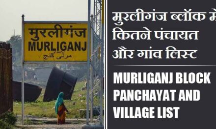 मुरलीगंज ब्लॉक में कितने पंचायत और गांव लिस्ट | Murliganj Block Panchayat and Village List