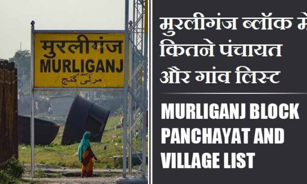 मुरलीगंज ब्लॉक में कितने पंचायत और गांव लिस्ट | Murliganj Block Panchayat and Village List