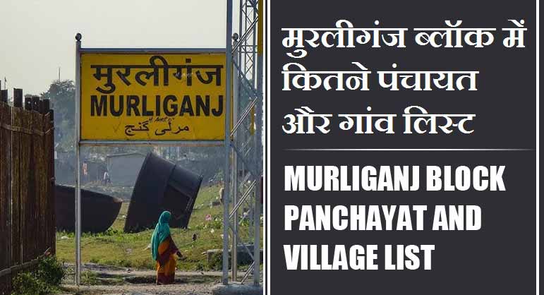 मुरलीगंज ब्लॉक में कितने पंचायत और गांव लिस्ट | Murliganj Block Panchayat and Village List