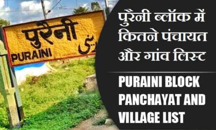 पुरैनी ब्लॉक में कितने पंचायत और गांव लिस्ट | Puraini Block Panchayat and Village List