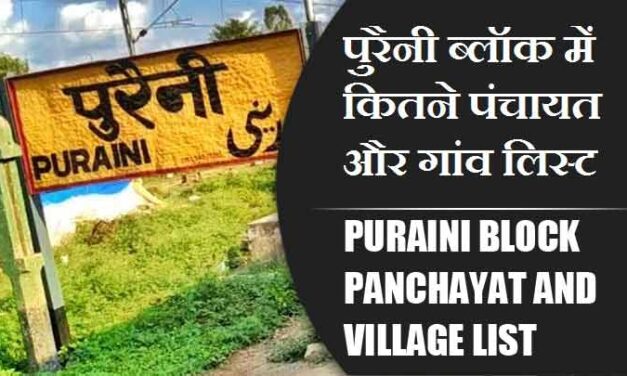 पुरैनी ब्लॉक में कितने पंचायत और गांव लिस्ट | Puraini Block Panchayat and Village List