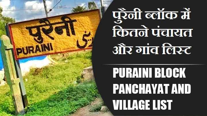 पुरैनी ब्लॉक में कितने पंचायत और गांव लिस्ट | Puraini Block Panchayat and Village List