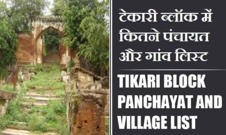 टेकारी ब्लॉक में कितने पंचायत और गांव लिस्ट | Tikari Block Panchayat and Village List