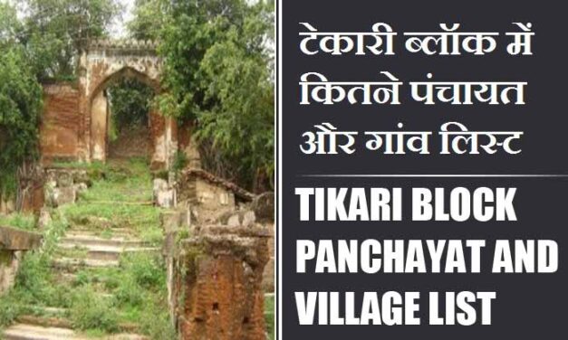 टेकारी ब्लॉक में कितने पंचायत और गांव लिस्ट | Tikari Block Panchayat and Village List
