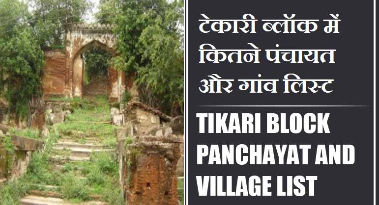 टेकारी ब्लॉक में कितने पंचायत और गांव लिस्ट | Tikari Block Panchayat and Village List