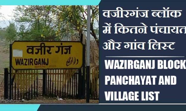 वजीरगंज ब्लॉक में कितने पंचायत और गांव लिस्ट | Wazirganj Block Panchayat and Village List