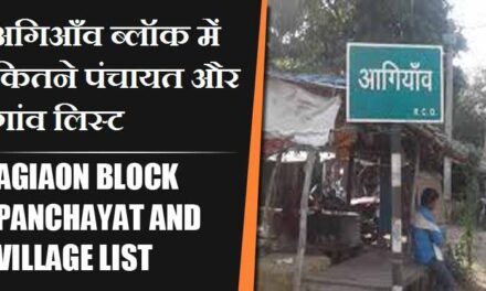 अगिआँव ब्लॉक में कितने पंचायत और गांव लिस्ट | Agiaon Block Panchayat and Village List