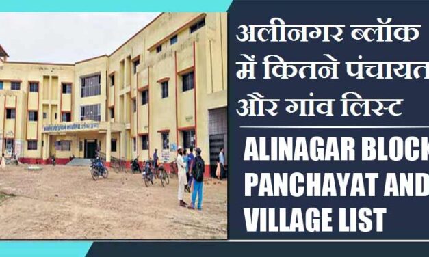 अलीनगर ब्लॉक में कितने पंचायत और गांव लिस्ट | Alinagar Block Panchayat and Village List