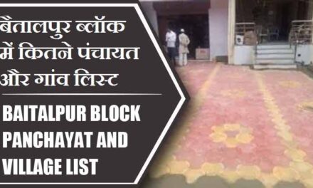बैतालपुर ब्लॉक में कितने पंचायत और गांव लिस्ट | Baitalpur Block Panchayat and Village List