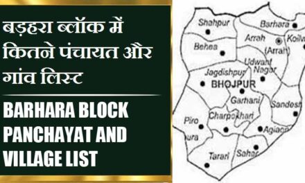 बड़हरा ब्लॉक में कितने पंचायत और गांव लिस्ट | Barhara Block Panchayat and Village List