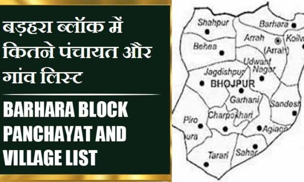 बड़हरा ब्लॉक में कितने पंचायत और गांव लिस्ट | Barhara Block Panchayat and Village List