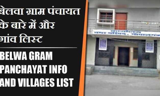 बेलवा ग्राम पंचायत के बारे में और गांव लिस्ट । Belwa Gram Panchayat Info and villages List