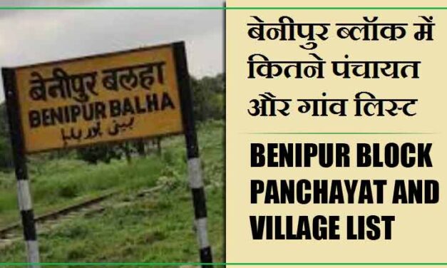 बेनीपुर ब्लॉक में कितने पंचायत और गांव लिस्ट | Benipur Block Panchayat and Village List