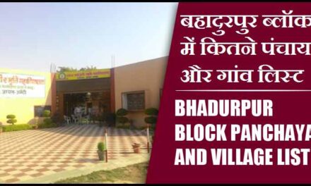 बहादुरपुर ब्लॉक में कितने पंचायत और गांव लिस्ट | Bhadurpur Block Panchayat and Village List