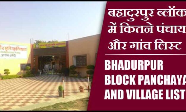 बहादुरपुर ब्लॉक में कितने पंचायत और गांव लिस्ट | Bhadurpur Block Panchayat and Village List