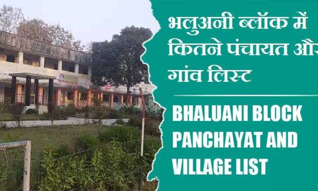 भलुअनी ब्लॉक में कितने पंचायत और गांव लिस्ट | Bhaluani Block Panchayat and Village List