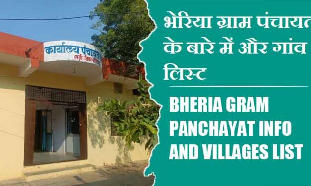 भेरिया ग्राम पंचायत के बारे में और गांव लिस्ट । Bheria Gram Panchayat Info and villages List