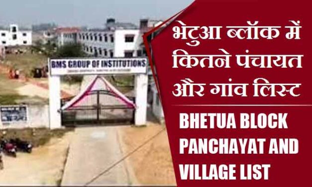 भेटुआ ब्लॉक में कितने पंचायत और गांव लिस्ट | Bhetua Block Panchayat and Village List