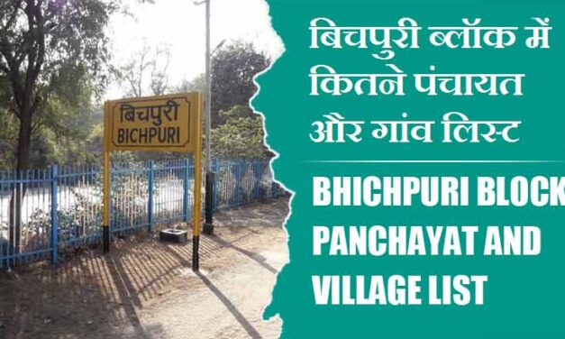 बिचपुरी ब्लॉक में कितने पंचायत और गांव लिस्ट | Bhichpuri Block Panchayat and Village List