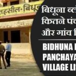 बिधूना ब्लॉक में कितने पंचायत और गांव लिस्ट | Bidhuna Block Panchayat and Village List