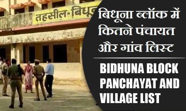 बिधूना ब्लॉक में कितने पंचायत और गांव लिस्ट | Bidhuna Block Panchayat and Village List