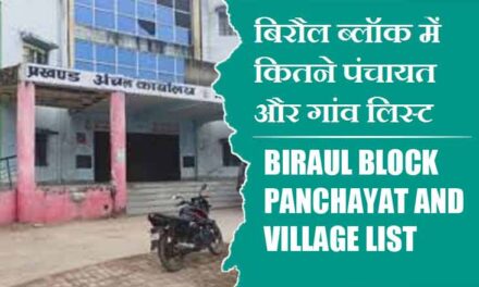 बिरौल ब्लॉक में कितने पंचायत और गांव लिस्ट | Biraul Block Panchayat and Village List