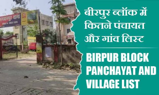 बीरपुर ब्लॉक में कितने पंचायत और गांव लिस्ट | Birpur Block Panchayat and Village List