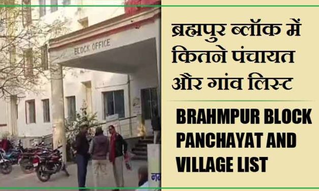 ब्रह्मपुर ब्लॉक में कितने पंचायत और गांव लिस्ट | Brahmpur Block Panchayat and Village List