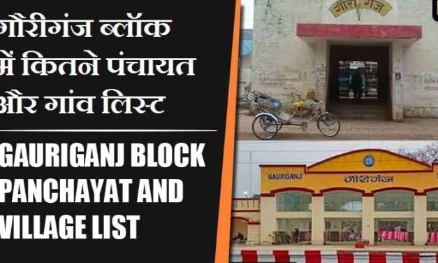 गौरीगंज ब्लॉक में कितने पंचायत और गांव लिस्ट | Gauriganj Block Panchayat and Village List