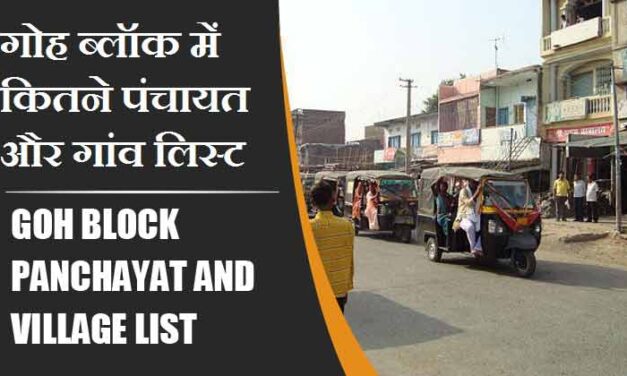 गोह ब्लॉक में कितने पंचायत और गांव लिस्ट | Goh Block Panchayat and Village List