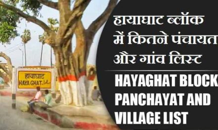 हायाघाट ब्लॉक में कितने पंचायत और गांव लिस्ट | Hayaghat Block Panchayat and Village List