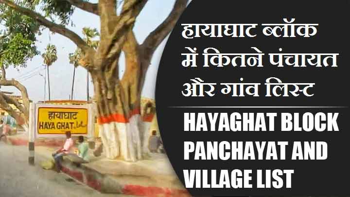 हायाघाट ब्लॉक में कितने पंचायत और गांव लिस्ट | Hayaghat Block Panchayat and Village List