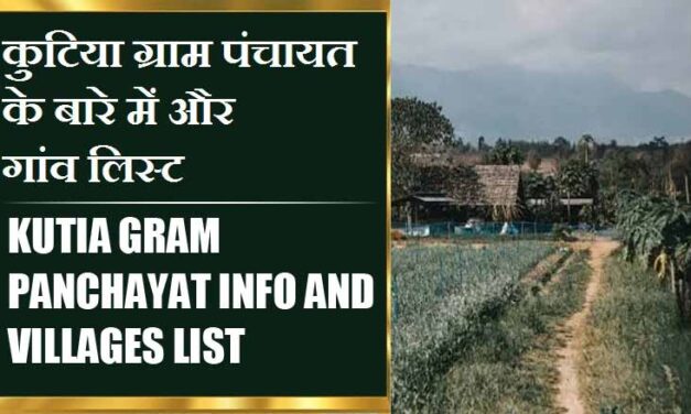 कुटिया ग्राम पंचायत के बारे में और गांव लिस्ट । Kutia Gram Panchayat Info and Villages List