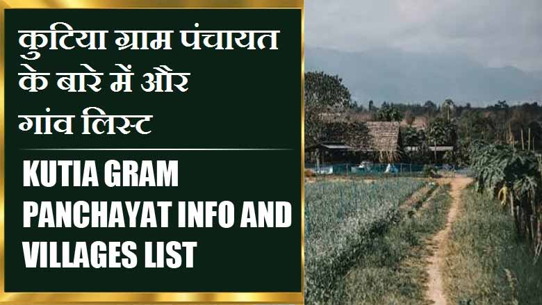 कुटिया ग्राम पंचायत के बारे में और गांव लिस्ट । Kutia Gram Panchayat Info and Villages List