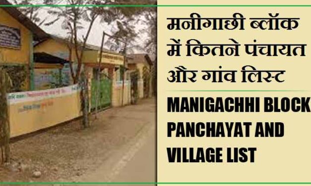 मनीगाछी ब्लॉक में कितने पंचायत और गांव लिस्ट | Manigachhi Block Panchayat and Village List