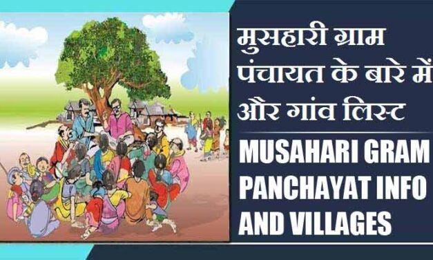मुसहारी ग्राम पंचायत के बारे में और गांव लिस्ट । Musahari Gram Panchayat Info and Villages List
