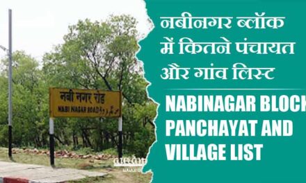 नबीनगर ब्लॉक में कितने पंचायत और गांव लिस्ट | Nabinagar Block Panchayat and Village List