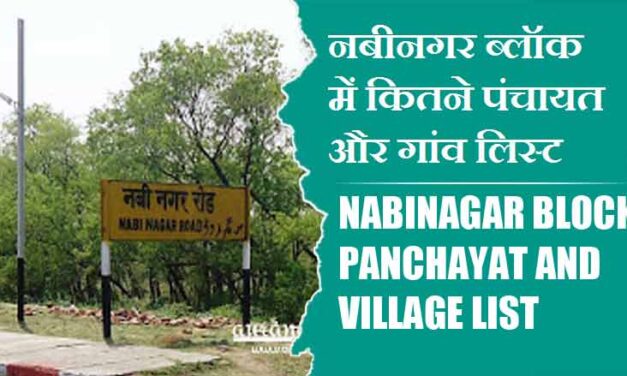 नबीनगर ब्लॉक में कितने पंचायत और गांव लिस्ट | Nabinagar Block Panchayat and Village List