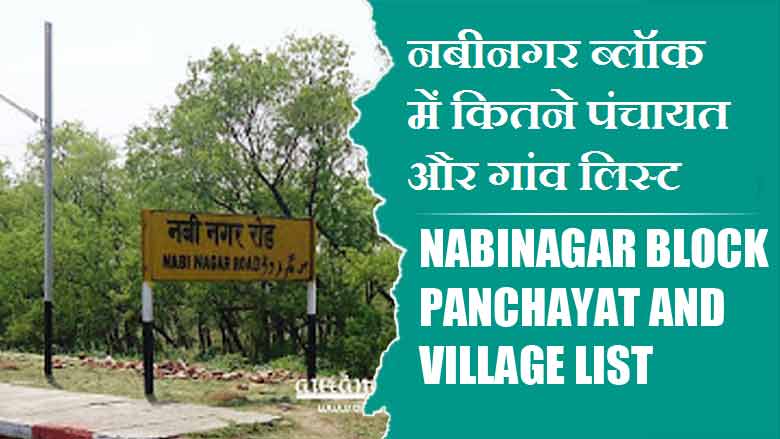 नबीनगर ब्लॉक में कितने पंचायत और गांव लिस्ट | Nabinagar Block Panchayat and Village List