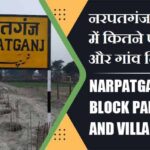 नरपतगंज ब्लॉक में कितने पंचायत और गांव लिस्ट | Narpatganj Block Panchayat and Village List